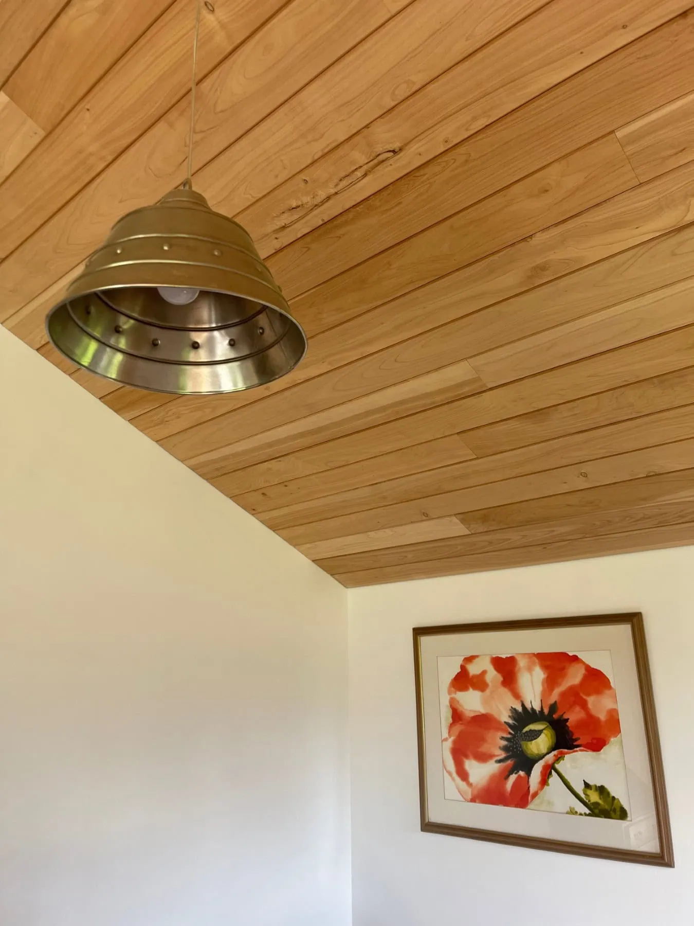 Ruamahanga Annex House Steinemann Construction Building Design Wairarapa 1350) 1