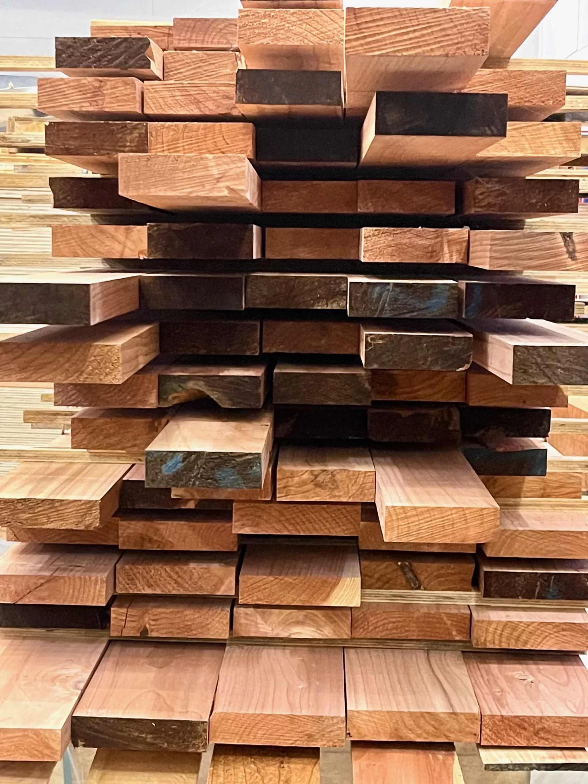 Timber Steinemann Construction Building Design new location Ngaumutawa rd Masterton 4