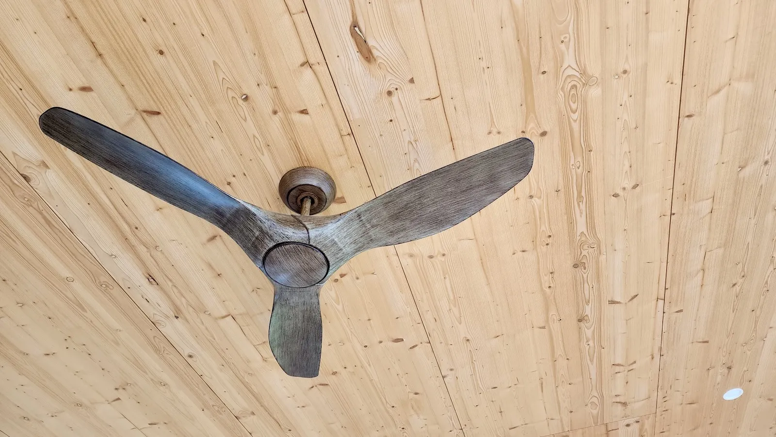 Fan Mangaroa house Steinemann Builders Construction Design 165345
