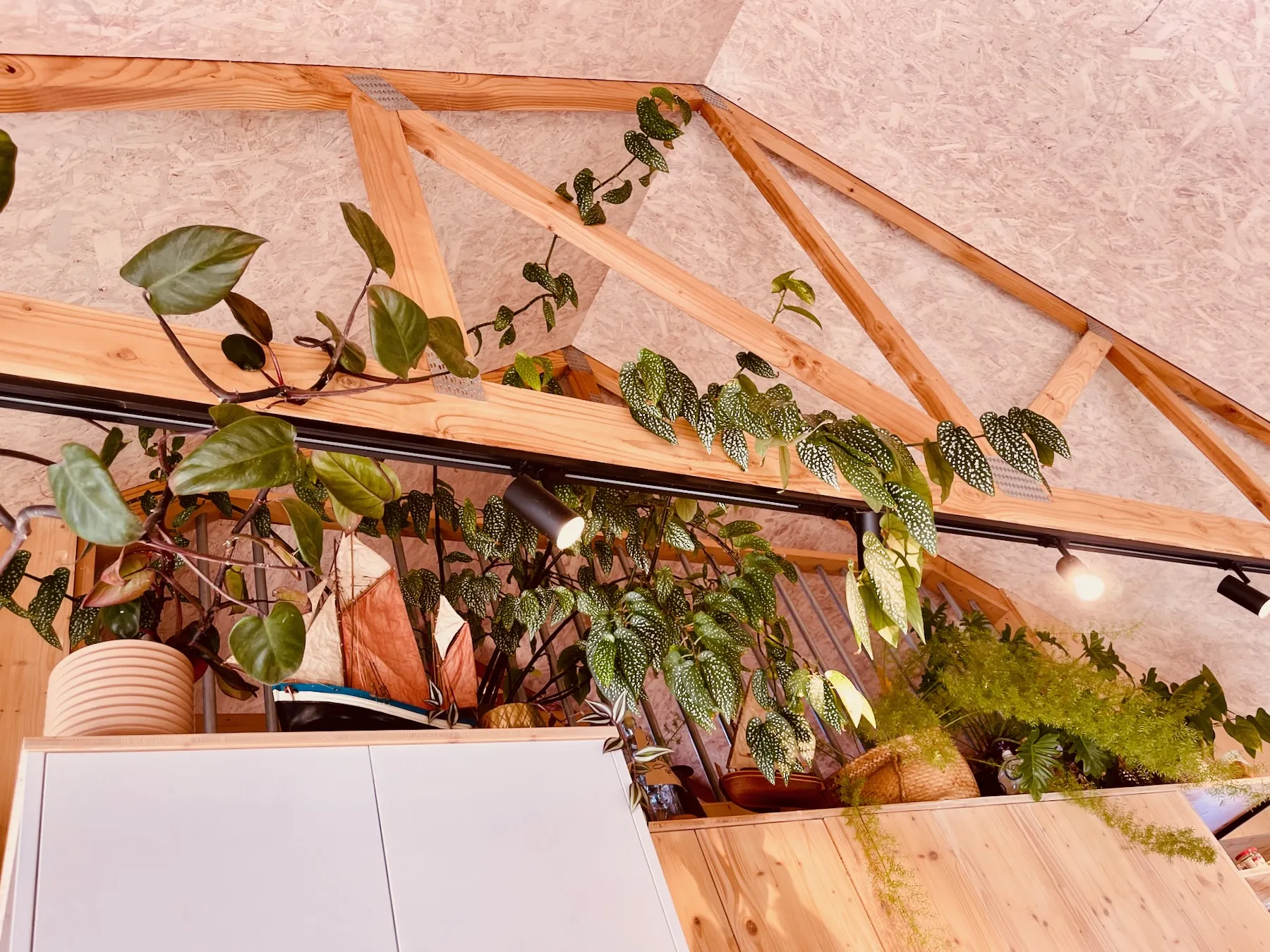 Te Whiti Extension Andi Steinemann Construction and Design 12