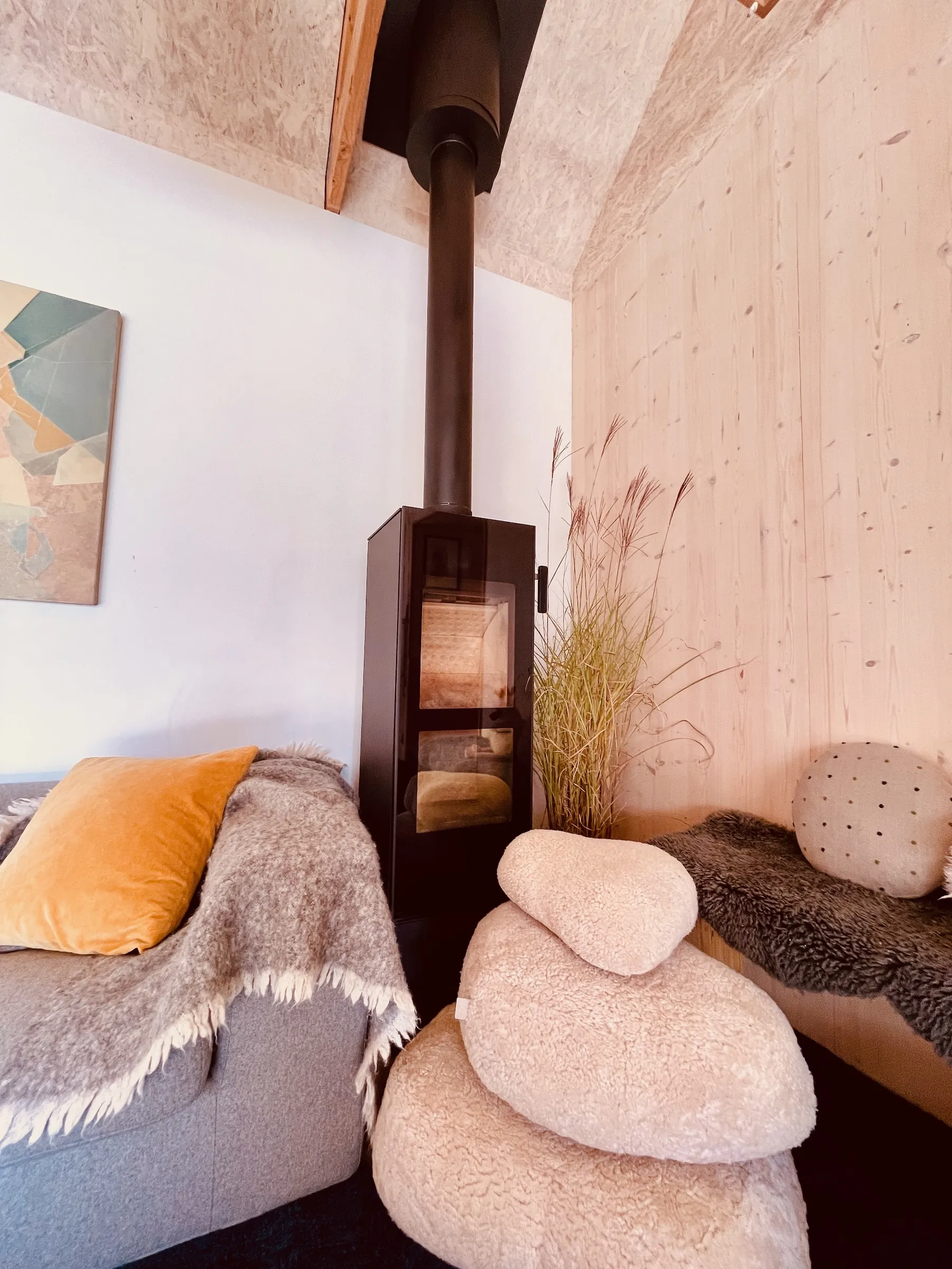 Te Whiti Extension Andi Steinemann Construction and Design 3