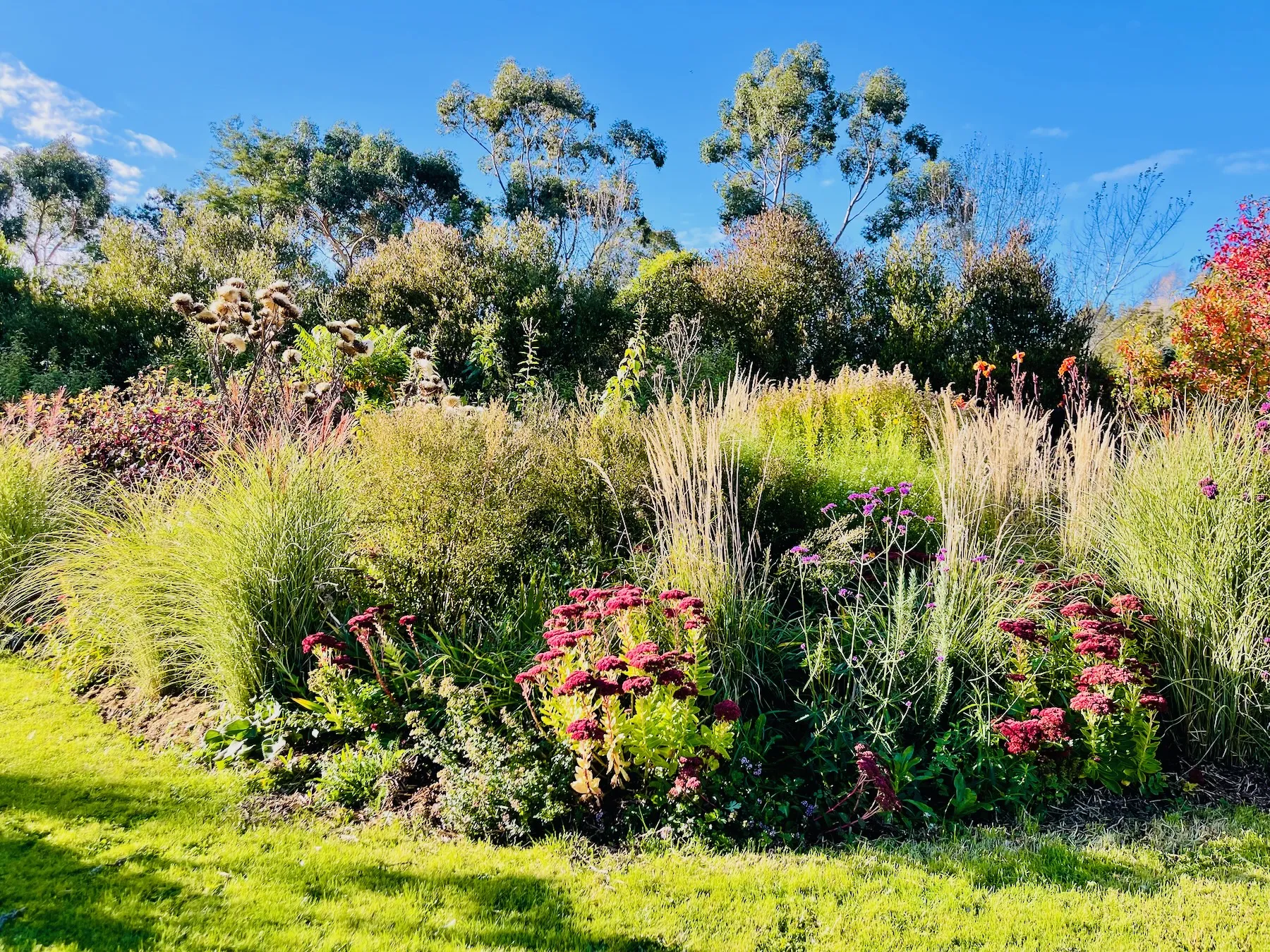 Te Whiti Extension Andi Steinemann Construction and Design 40