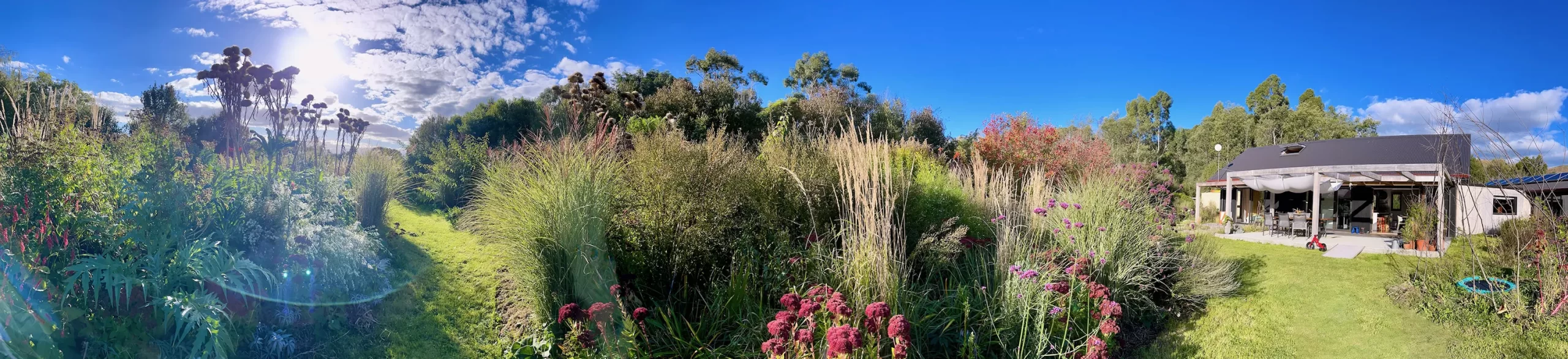 Te Whiti Extension Panorama Andi Steinemann Construction and Design 3000px